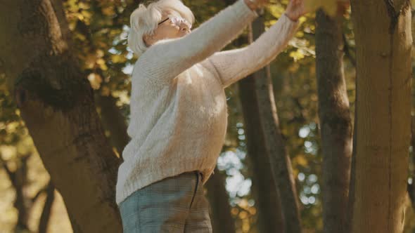 Elderly Woman Throwing Yellow Autumn Leaves in the Air. Enjoying the Day in the Park