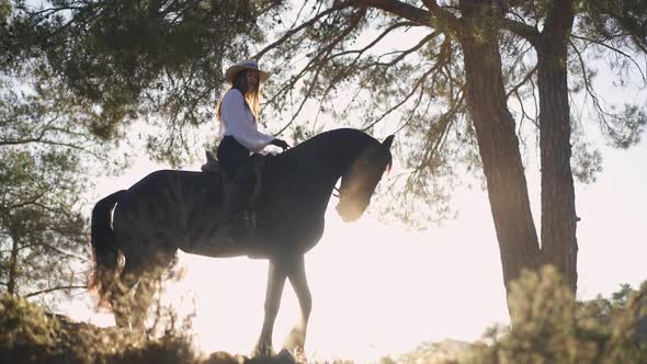 Horse Standing in Sunshine with Female Equestrian on Back Beating Hoof