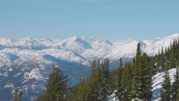 Snowy Forest on Top of the Mountains in Winter During Sunny Morning