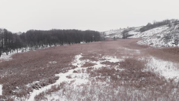 Frozen Winter Lake with reeds