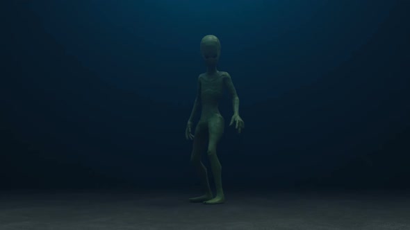 Alien in the Fog alt