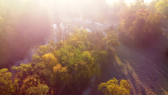 Aerial Flying Over Trees with Yellow Leaves Lake and Architecture on an Autumn