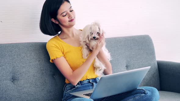 Young woman using laptop on sofa at home with her Maltese dog