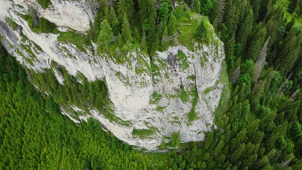Rocky Mountain Aerial Over Forest