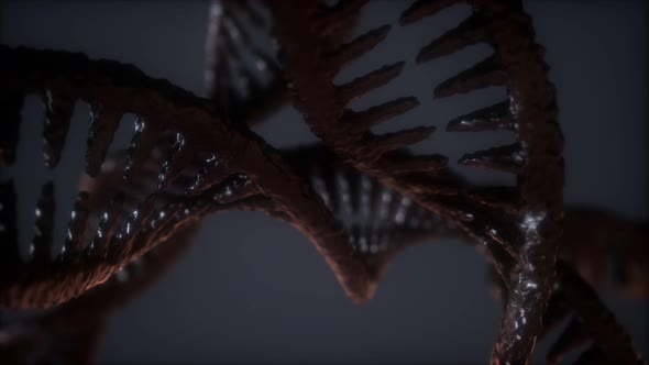 Loop Double Helical Structure of Dna Strand Close-up Animation