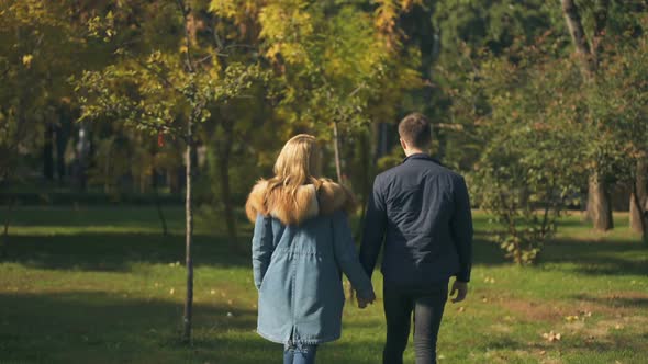 Back View of Couple Holding Hands and Walking, Bright Future, Togetherness