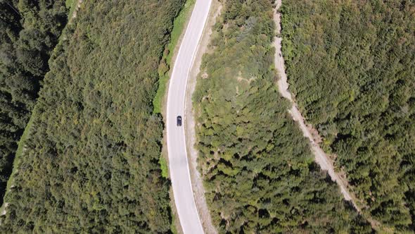 Asphalt Road with Forest 