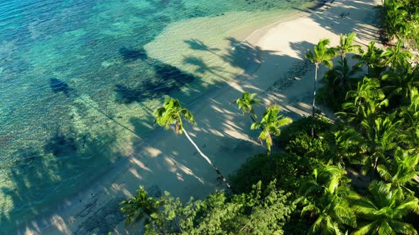 Fiji's perfect white beaches with coconut trees are the best holiday destination