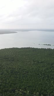 Tanzania  Coast of Zanzibar Island Covered with Thickets Slow Motion