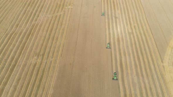 Combine Harvester on Wheat Field