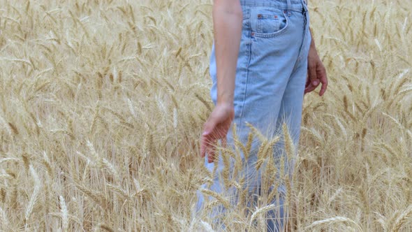 woman is dancing in wheat field wearing blue color jeans