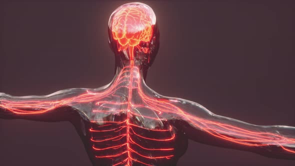 Human Headache Concept Glowing Xray Brain