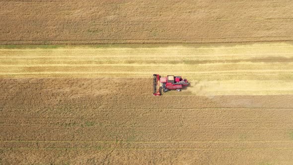 Combine Harvester Rides Across Field And Harvests Wheat