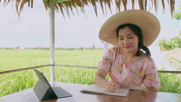 Business freelance young woman working with her digital tablet outdoor with the background rice plan