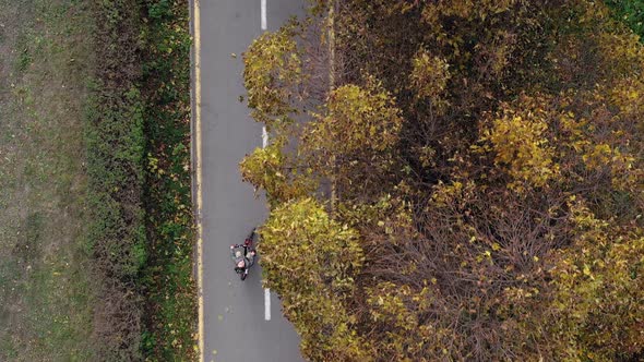 Aerial view Child riding bicycle in autumn park. Active sport family leisure