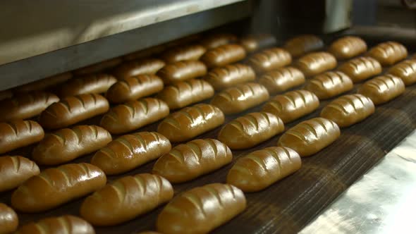 Baking Bread on the Factory