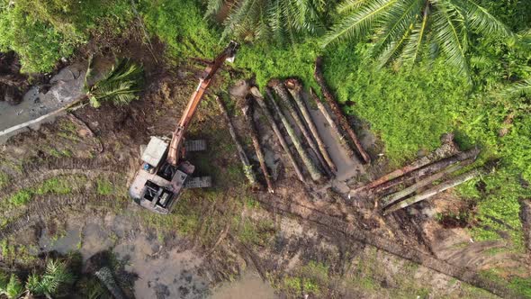 Aerial top down view excavator arrange the oil palm tree together