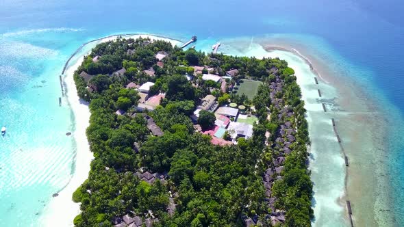 Aerial drone travel of marine resort beach wildlife by sea with sand background