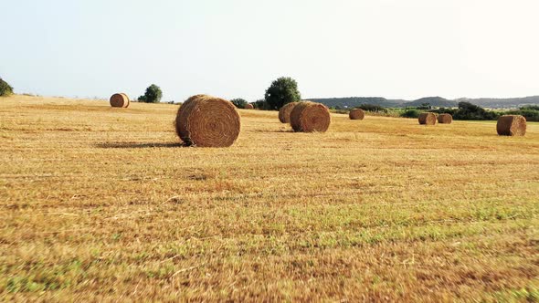 Moving through hay field. POV view