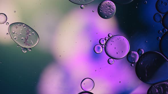 Abstract Colorful Food Oil Drops Bubbles 247 alt