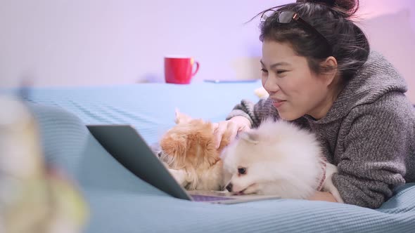 working at home asian female woman working with hand use laptop while cuddle play with lap dog