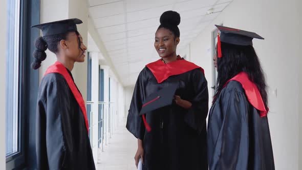 A Group of African American Students with Diplomas Communicate in the University Building