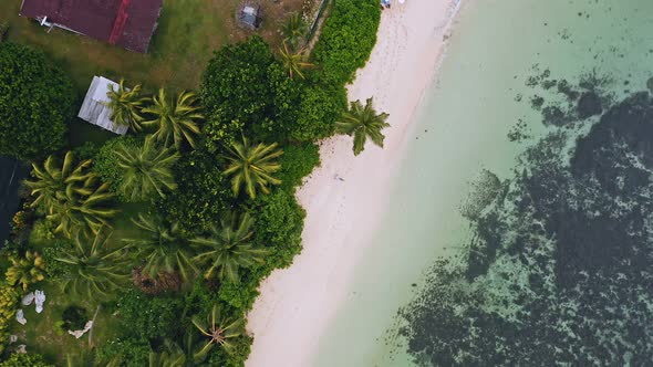 Aerial View Vertical Spinning Move Up Footage From Girl Sitting on a White Sand Beach