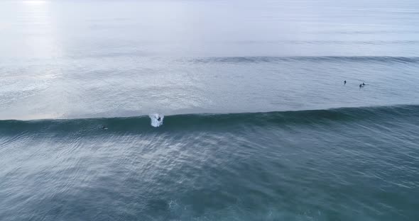 Surfers catching waves in ocean