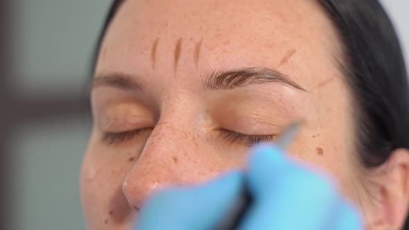 Closeup of Female Eyebrows on Which Paint is Applied with a Brush Coloring and Correction of