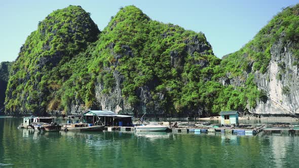 Floating Fishing Village In The Ha Long Bay. Cat Ba Island, Vietnam