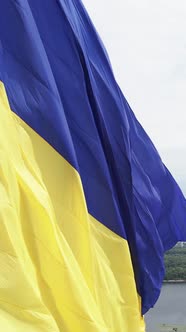 Vertical Video National Flag of Ukraine By Day