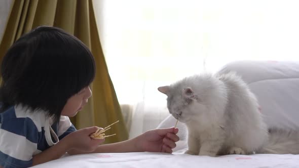 Cute Asian Child Feeding  Cats At Home