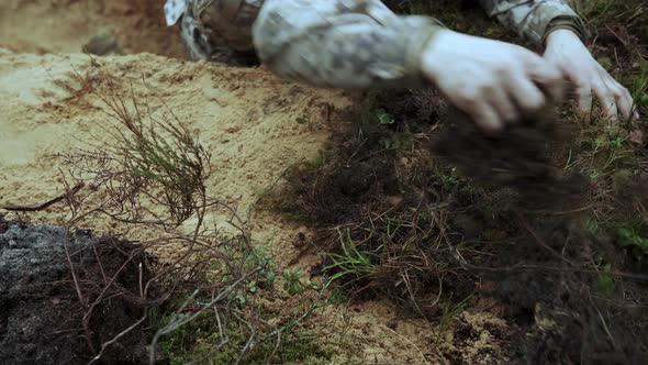Soldiers Prepare a Trench in a Pine Forest