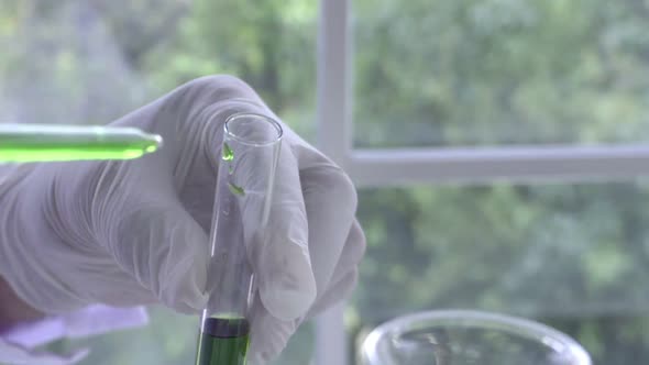 Scientist Work with Science Equipment in Laboratory