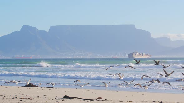 Beautiful Clear Day Looking To Table Mountain and Mother City with Ocean Waves Crashing Over Rocky Shore