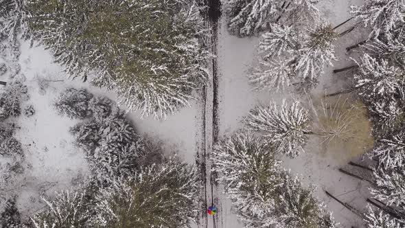 Coming in drone shot of a wonderful colored umbrella as color contrast in the white and green forest