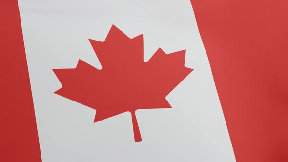 National Flag of Canada Waving Original Size and Colors 3D Render Le Drapeau National Du Canada or