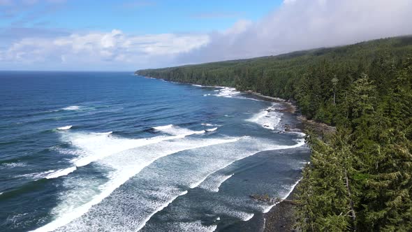 Still aerial shot of big waves crashing on the shore of Sombrio beach with vast and endless pine for