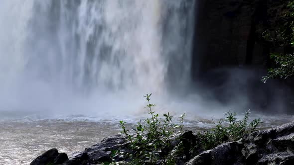 A closeup of Whangarei Falls raging after a lot of rain throughout Northland, New Zealand Aotearoa