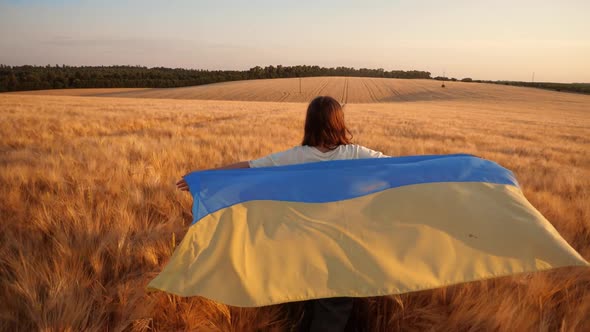 Pray for Ukraine. Child with Ukrainian flag in wheat field.