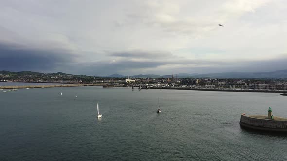 Aerial View of a Seagull and Sailing Boats, Ships and Yachts in Dun Laoghaire Marina Harbour
