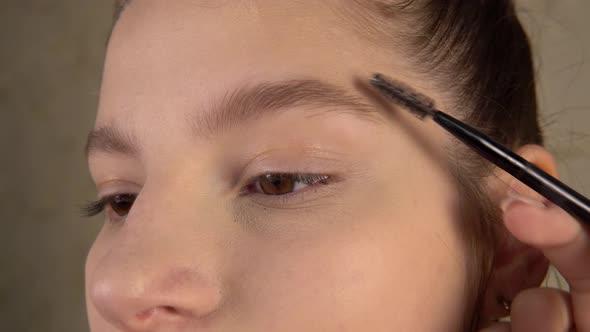 Make Up Visage Artist Brushing Styling Eyebrows Model Customer Face Close Up