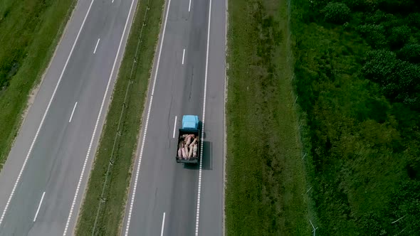 A Lorry Carrying Pigs Along the Road