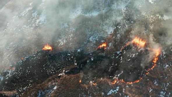 Aerial View of Wildfire on the Field