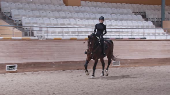 Equestrian  a Horsewoman Slowly Rides a Horse in an Arena in a Circle