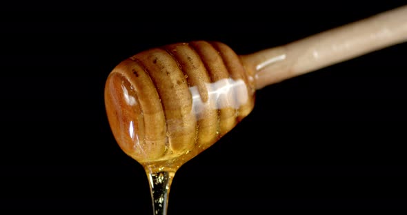 With a Wooden Spoon Slowly Drains Fresh Honey. 