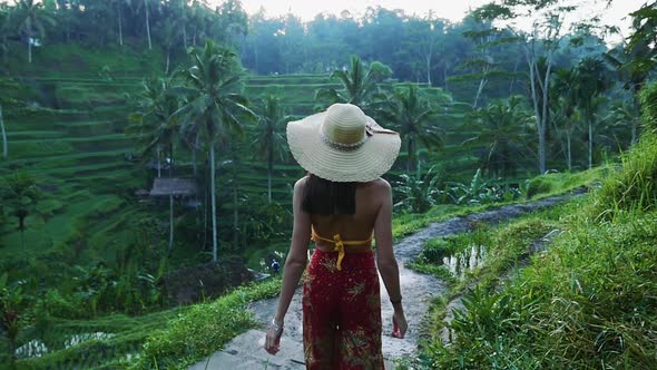 Beautiful girl spending time in the rice fields of Bali