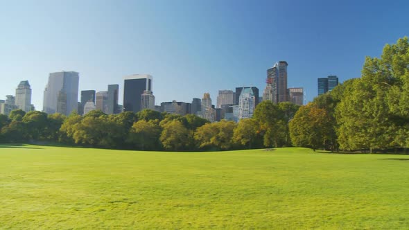 Sunny Morning in Park