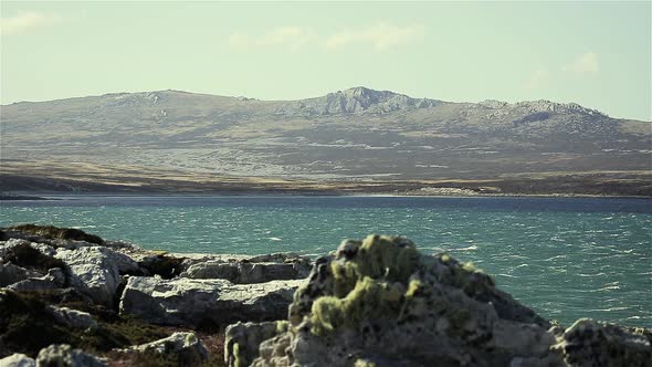 Rocky Shore of East Falkland, Falkland Islands (Islas Malvinas)