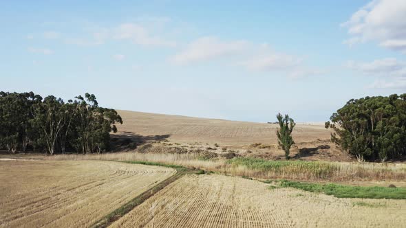Farming Land, White Clouds and Blue Sky By the Countryside in Africa